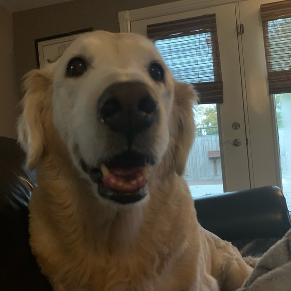 Meet your Posher, Kelly-jo - Picture 1 of 1